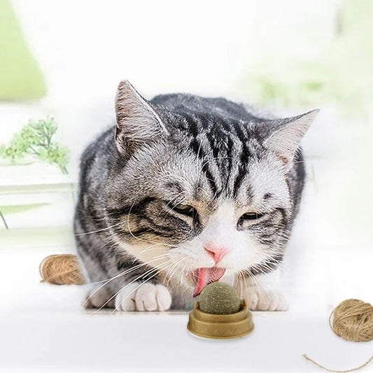Catnip Ball For Cats – Natural Catnip Balls | Silvervine Treat & Gall Fruit Toy