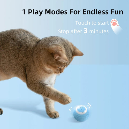 Cat Interactive Ball - Durable Pet Toy for Cats | Fun Exercise & Play