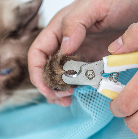 Cat Grooming Bag – Multifunctional Mesh Wash & Pet Nail Trimming Pouch