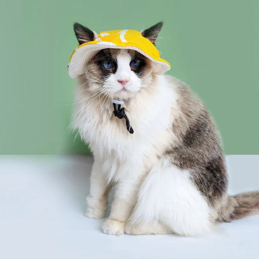 Cute Pet Hat - Small Dog Hat With Ear Holes | Tiny Pet Birthday Costume
