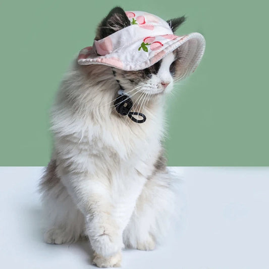 Cute Pet Hat - Small Dog Hat With Ear Holes | Tiny Pet Birthday Costume