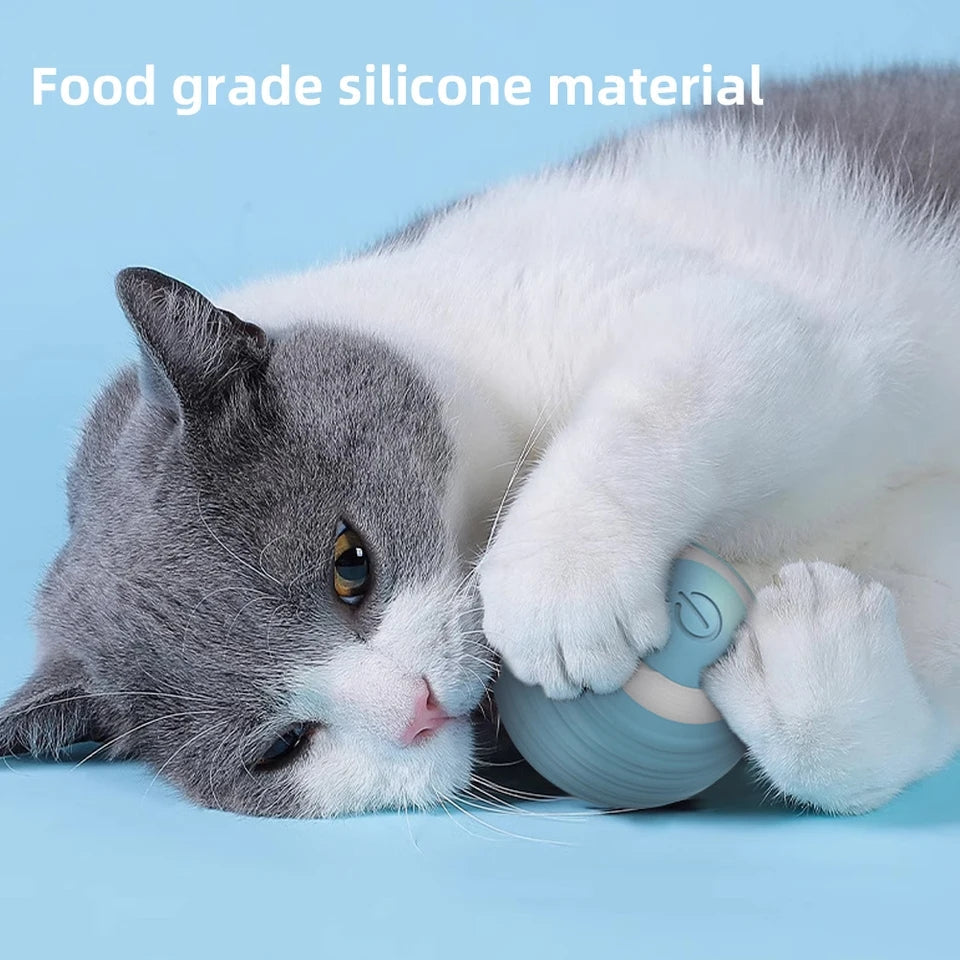 Cat Interactive Ball - Durable Pet Toy for Cats | Fun Exercise & Play