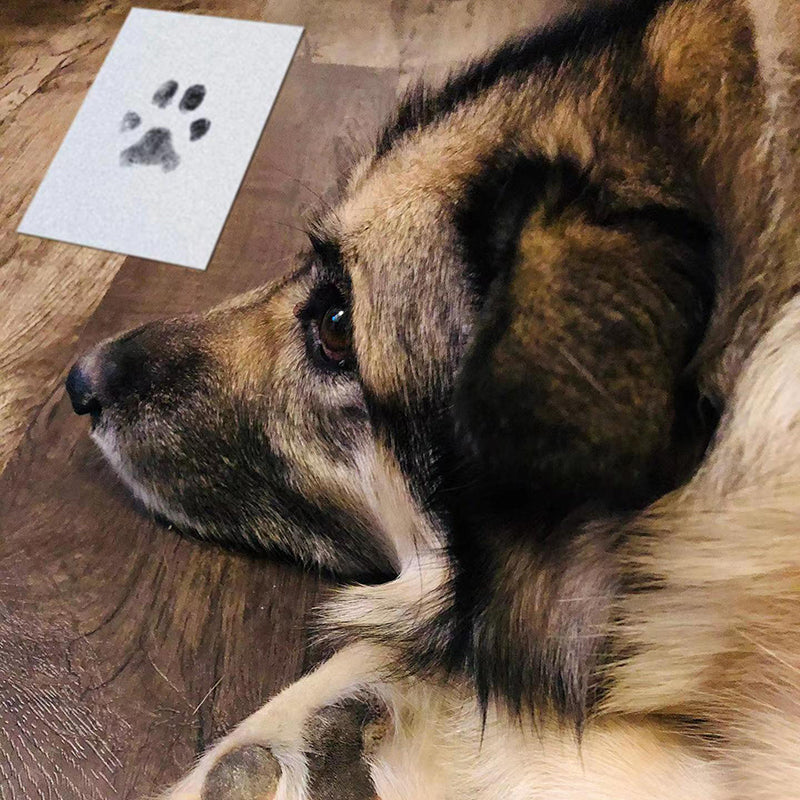 Paw Print Stamp Pad – Clean Touch Inkless Pet Paw Art Supplies Kit