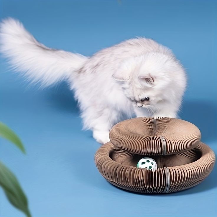 Cat Scratching Board - Durable Corrugated Cat Scratcher Pad With Catnip Toy