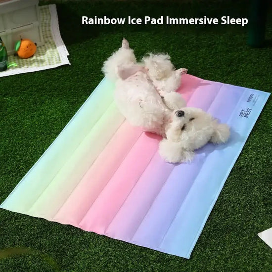 Pet Cooling Bed – Summer Ice Layer Technology Cooling Dog & Cat Mattress