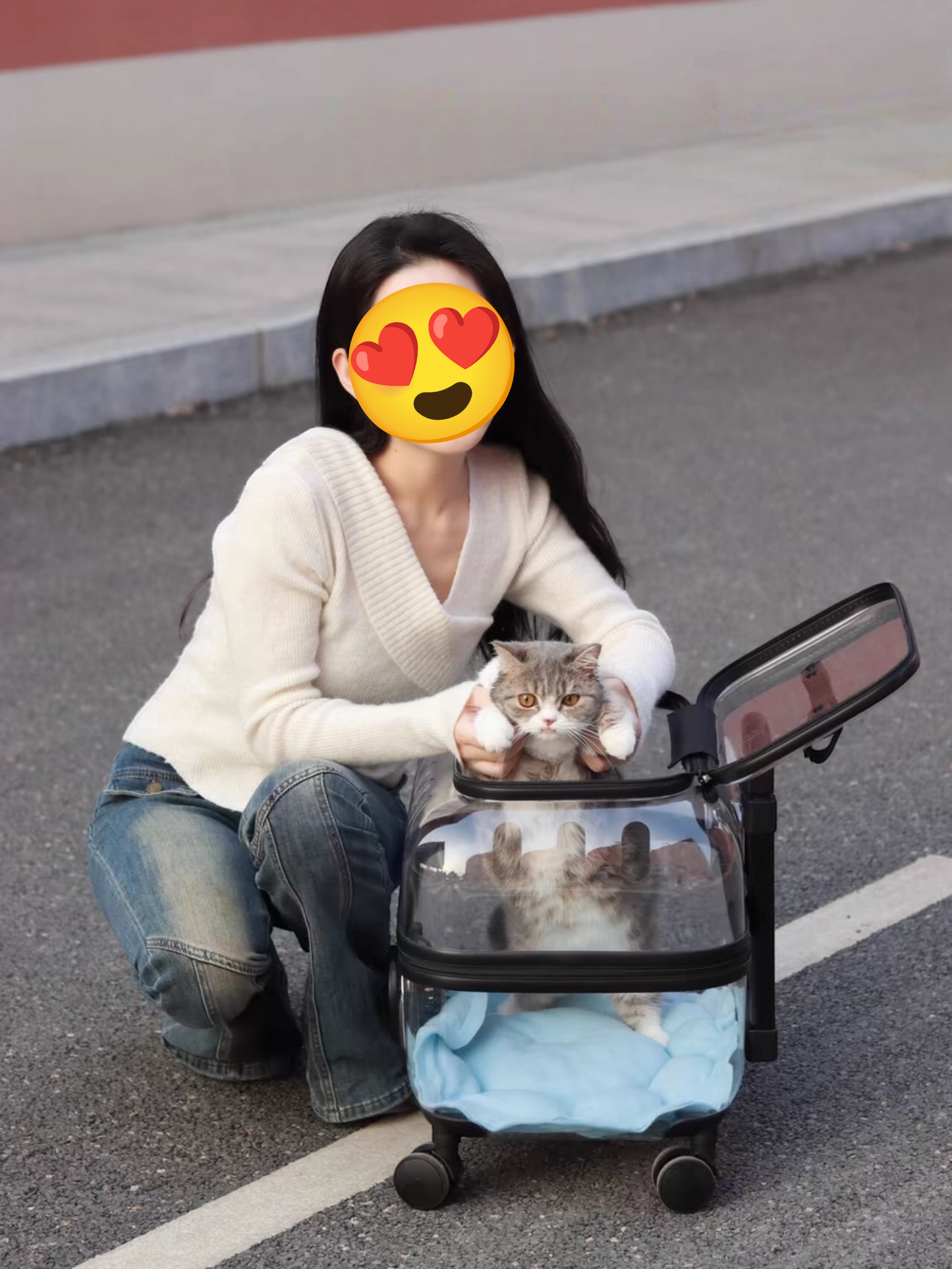 Pet Travel Trolley - Transparent Cat Suitcase With Large Capacity & Wheels