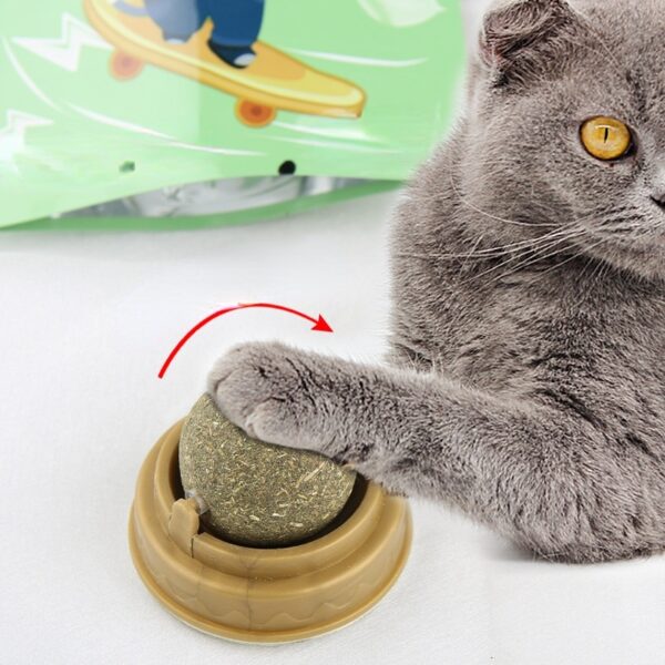 Catnip Ball For Cats – Natural Catnip Balls | Silvervine Treat & Gall Fruit Toy