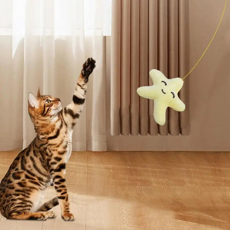 Cat Door Hanging Toy – Interactive Kitten Teaser for Indoor Play & Healthy Chewing