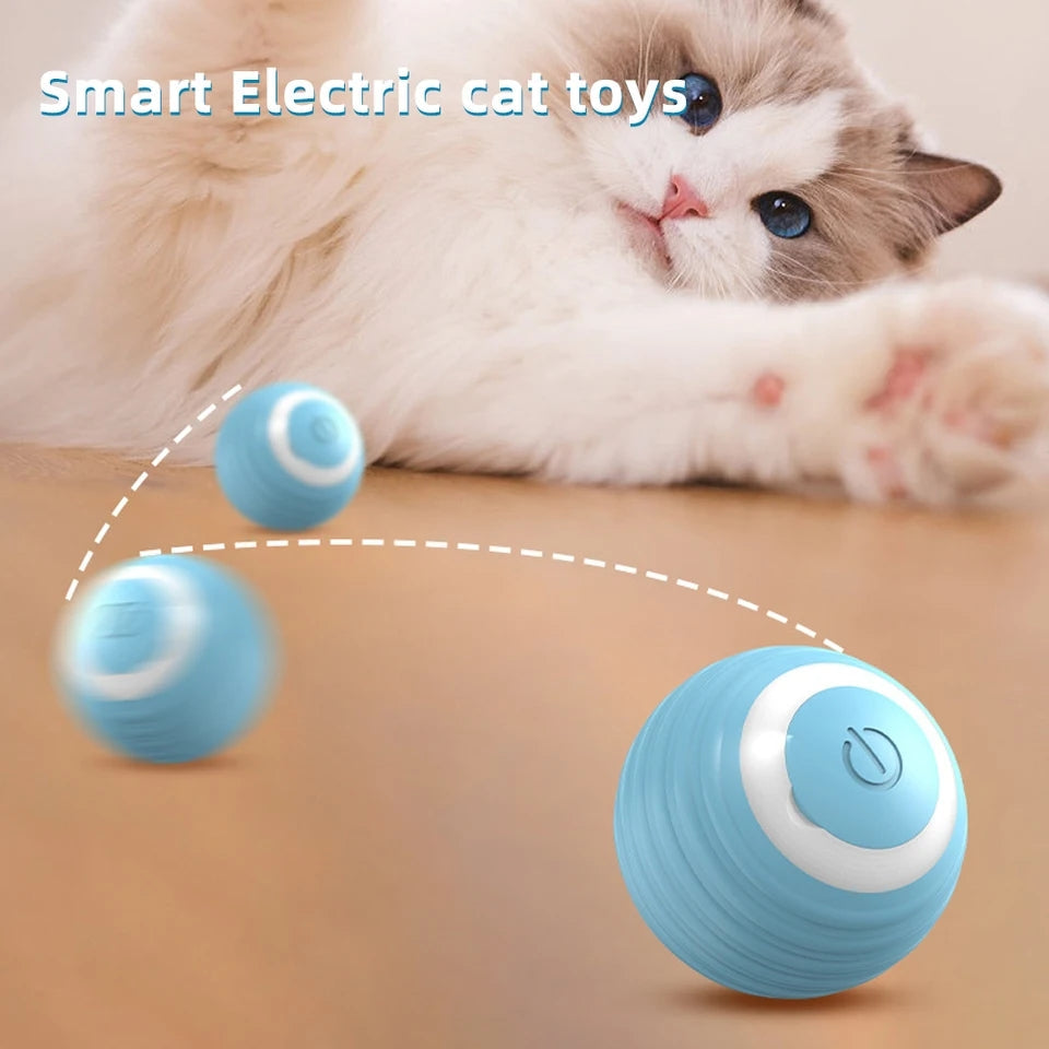 Cat Interactive Ball - Durable Pet Toy for Cats | Fun Exercise & Play
