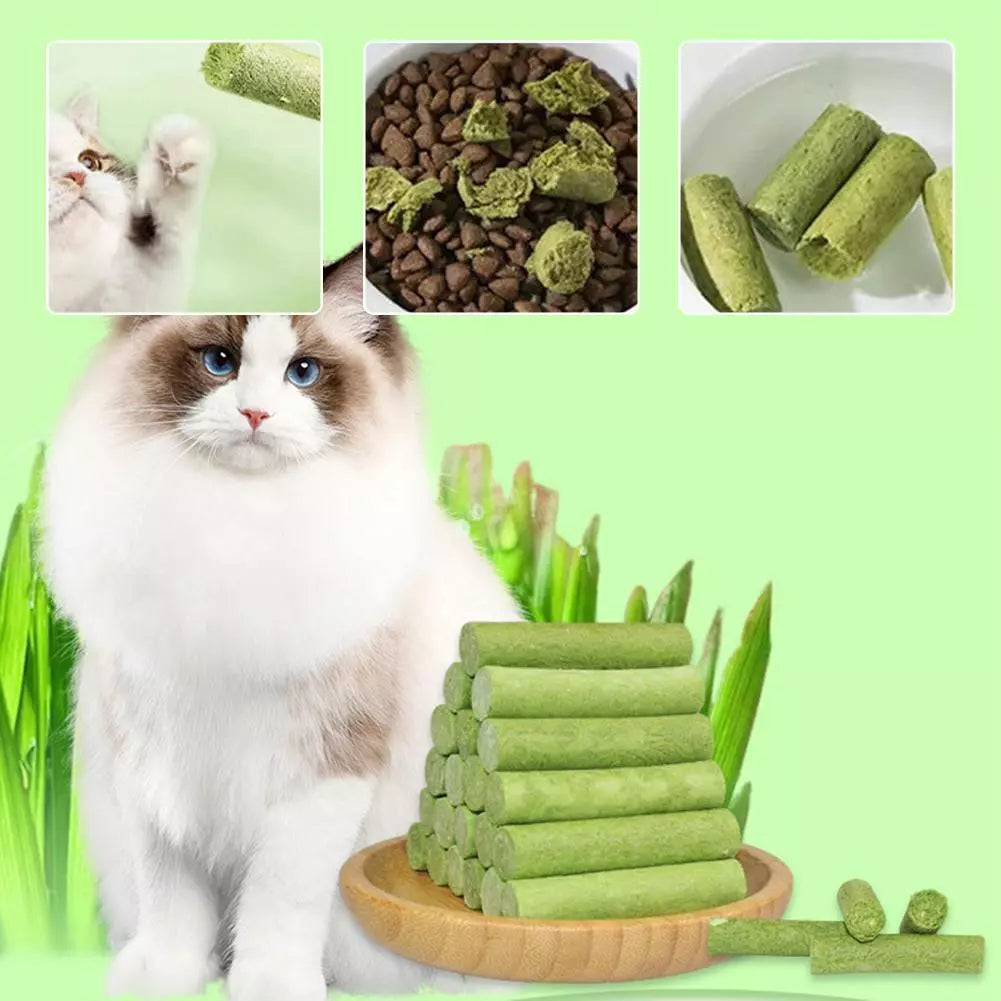 Cat Grass Sticks - Grass Teething Stick & Entertaining Cat Treat for Dietary Health