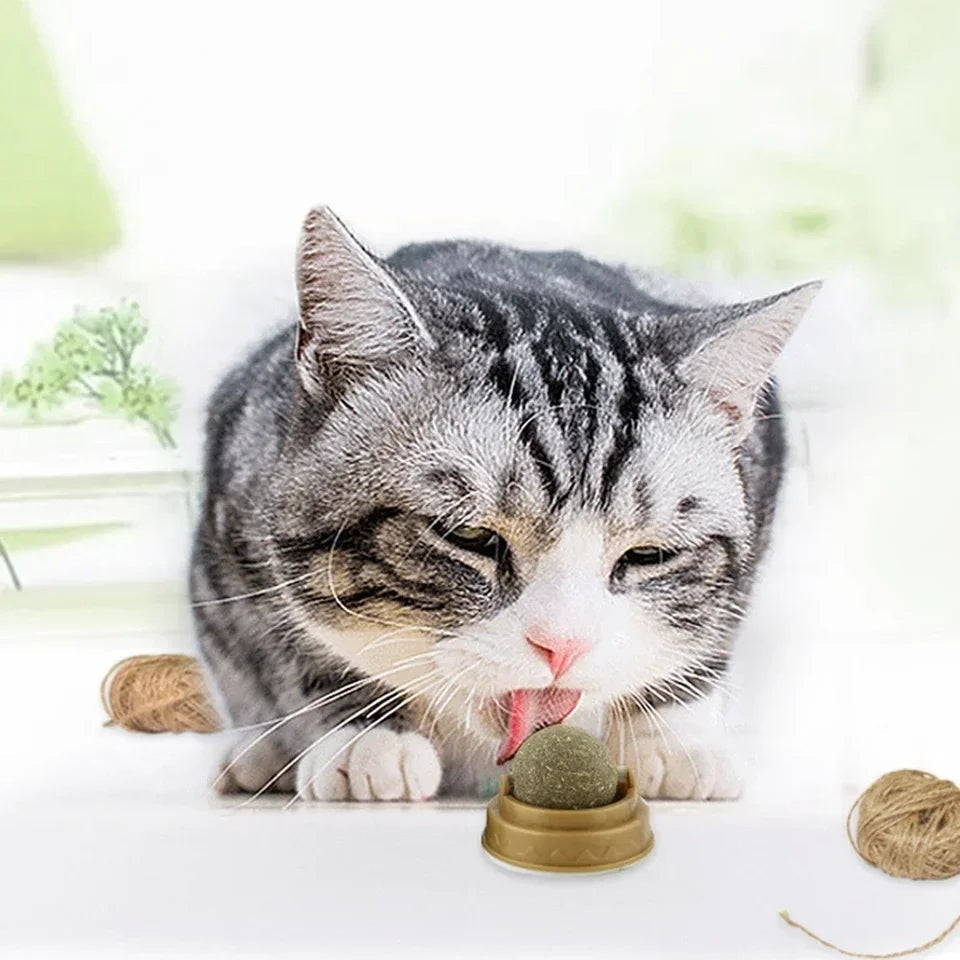 Catnip Ball For Cats – Natural Catnip Balls | Silvervine Treat & Gall Fruit Toy
