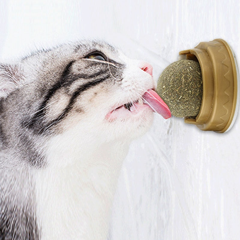 Catnip Ball For Cats – Natural Catnip Balls | Silvervine Treat & Gall Fruit Toy