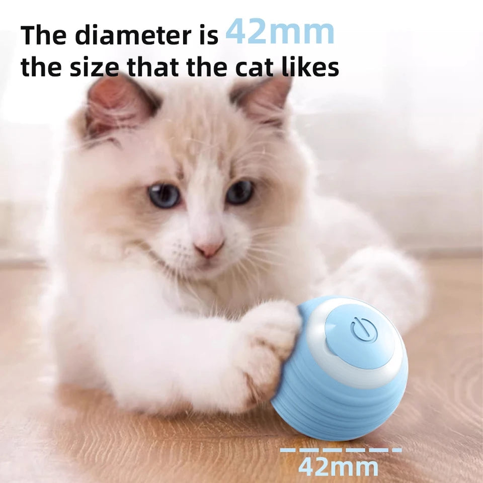 Cat Interactive Ball - Durable Pet Toy for Cats | Fun Exercise & Play