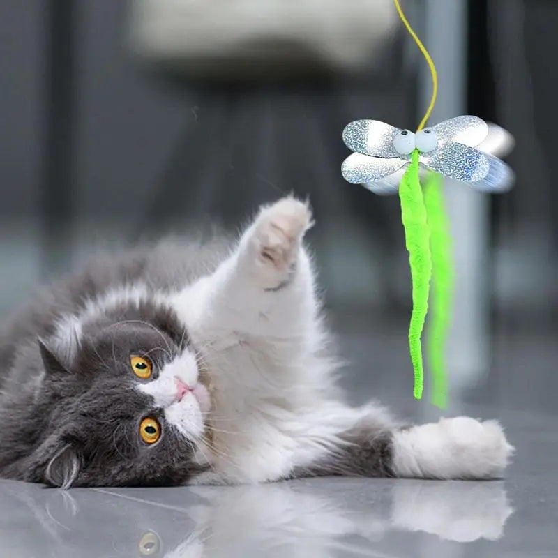 Cat Door Hanging Toy – Interactive Kitten Teaser for Indoor Play & Healthy Chewing