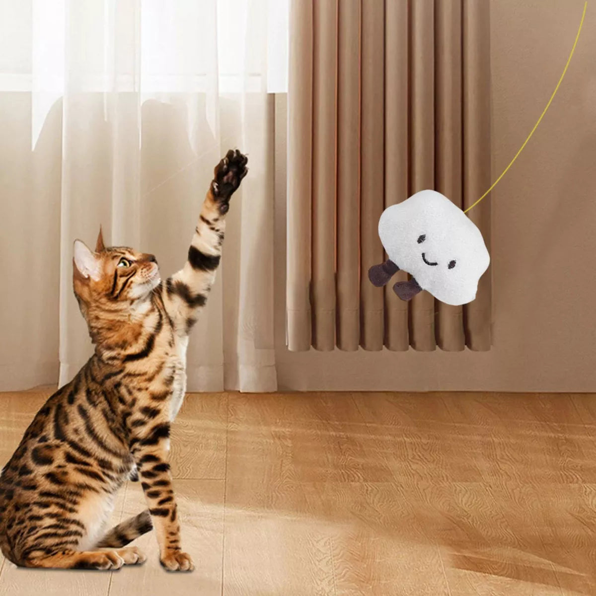 Cat Door Hanging Toy – Interactive Kitten Teaser for Indoor Play & Healthy Chewing