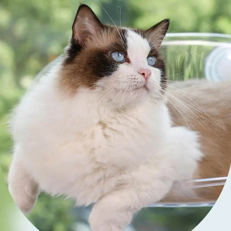 Cat Hammock - Soft Breathable Fabric Cozy Cat Lounger | Window Mounted Bed