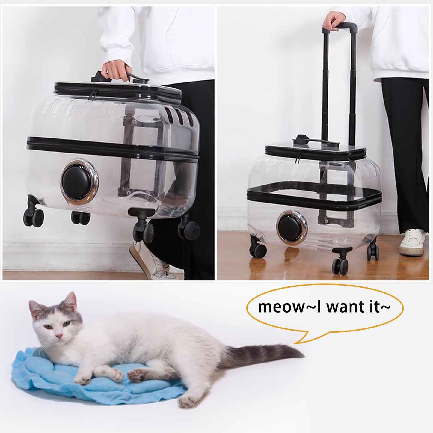 Pet Travel Trolley - Transparent Cat Suitcase With Large Capacity & Wheels