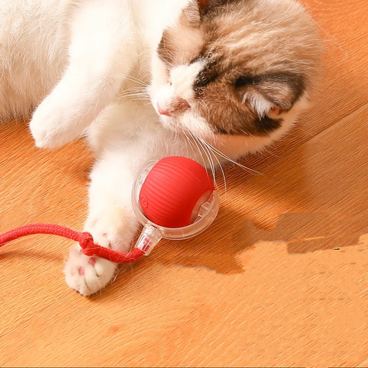 Smart Ball Cat Toy – Rotating Interactive Pet Toy With Motion For Exercise