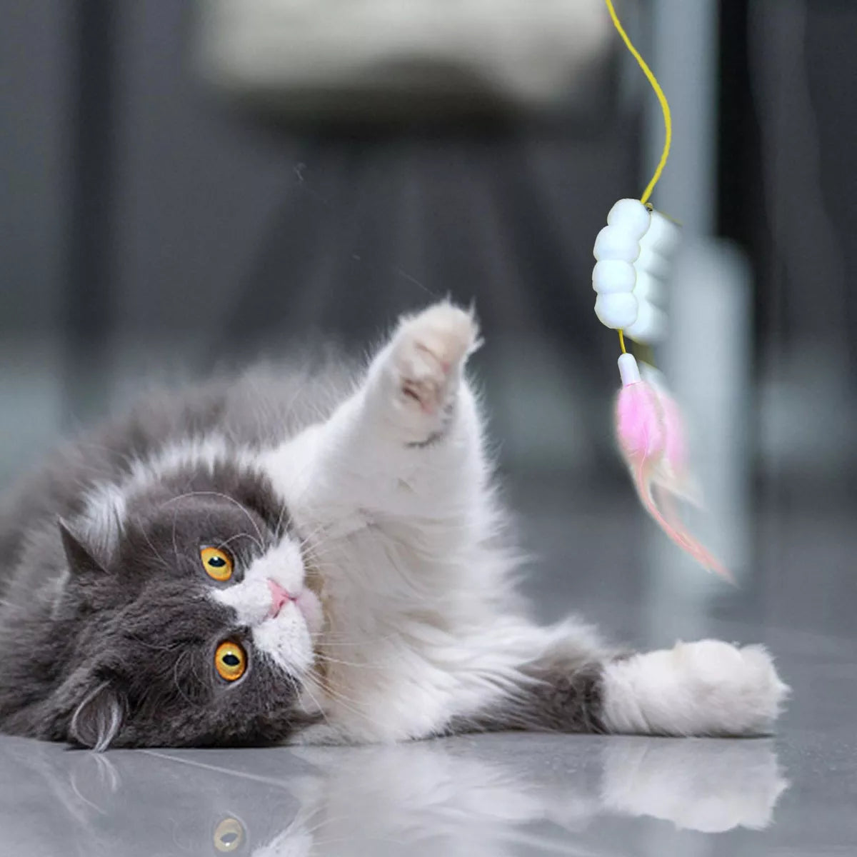 Cat Door Hanging Toy – Interactive Kitten Teaser for Indoor Play & Healthy Chewing