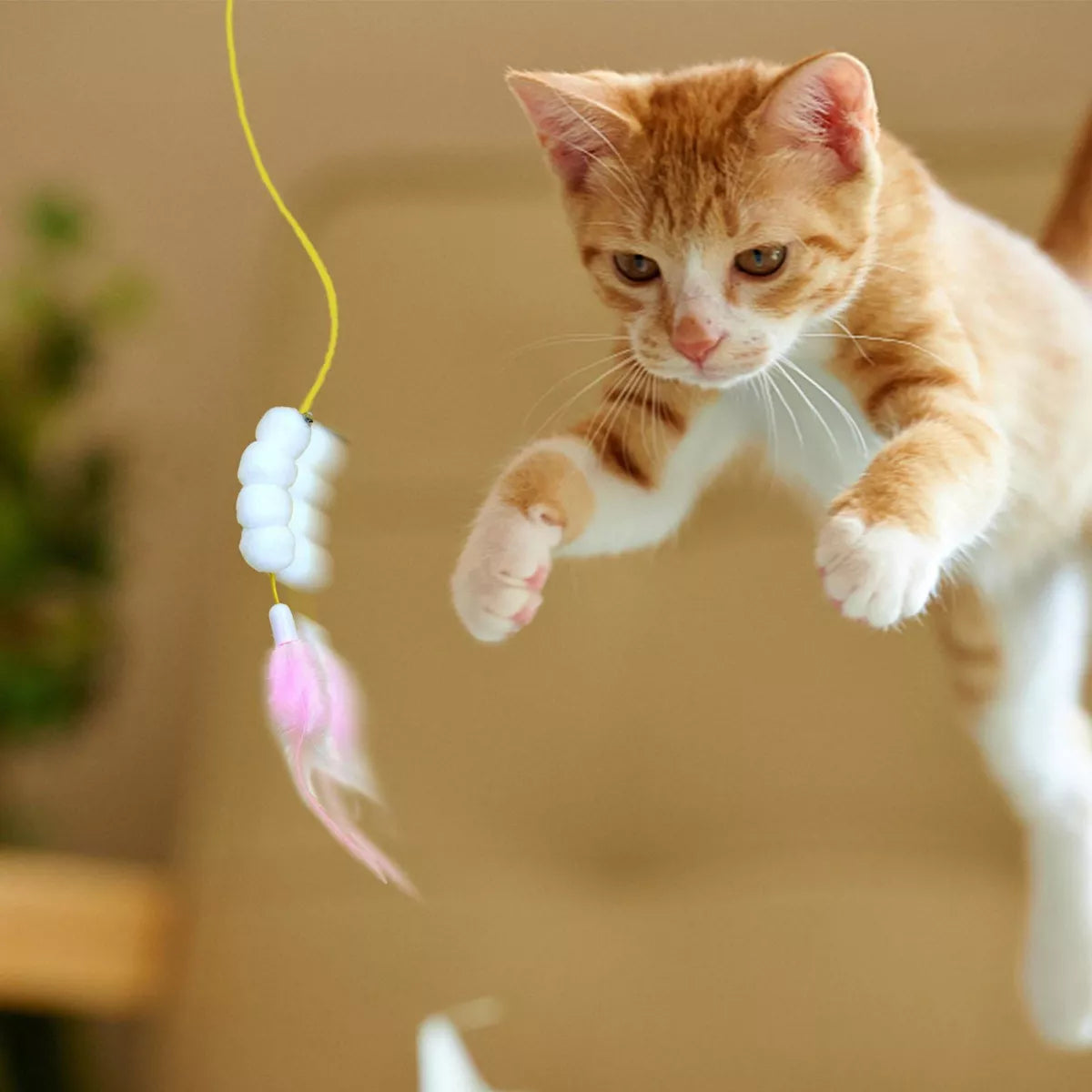Cat Door Hanging Toy – Interactive Kitten Teaser for Indoor Play & Healthy Chewing