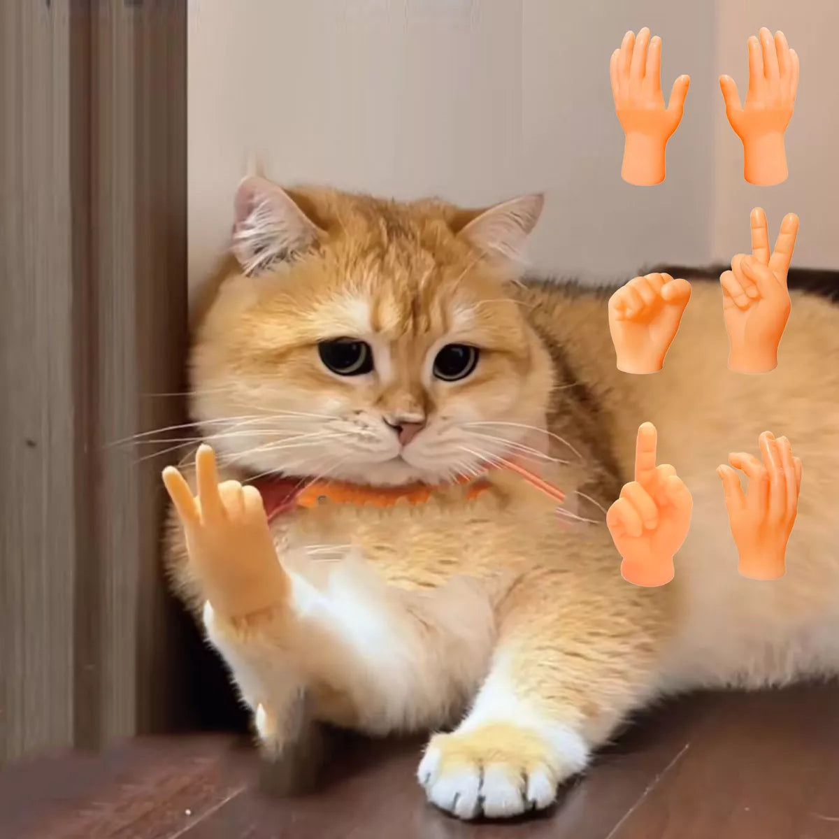 Cat Finger Gloves – 6PCS Silicone Pet Play Gloves For Interactive Fun