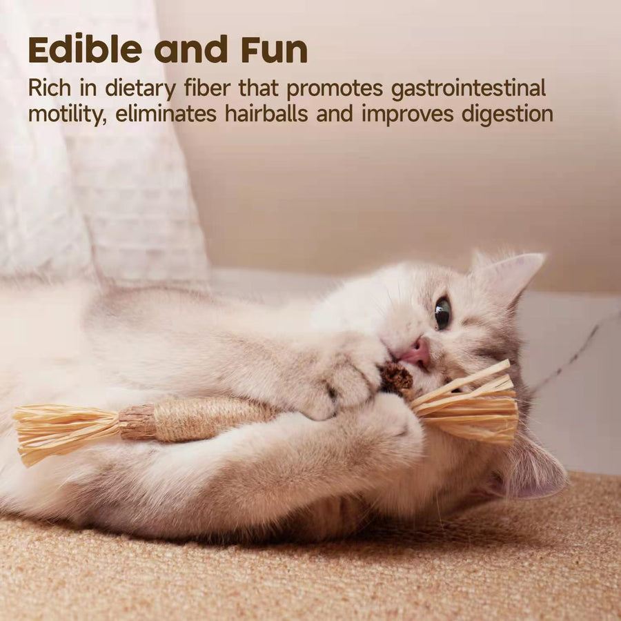 Silvervine Cat Chew Stick – Natural Catnip Alternative & Dental Health Toy