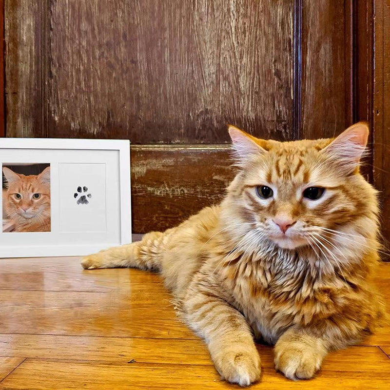 Paw Print Stamp Pad – Clean Touch Inkless Pet Paw Art Supplies Kit